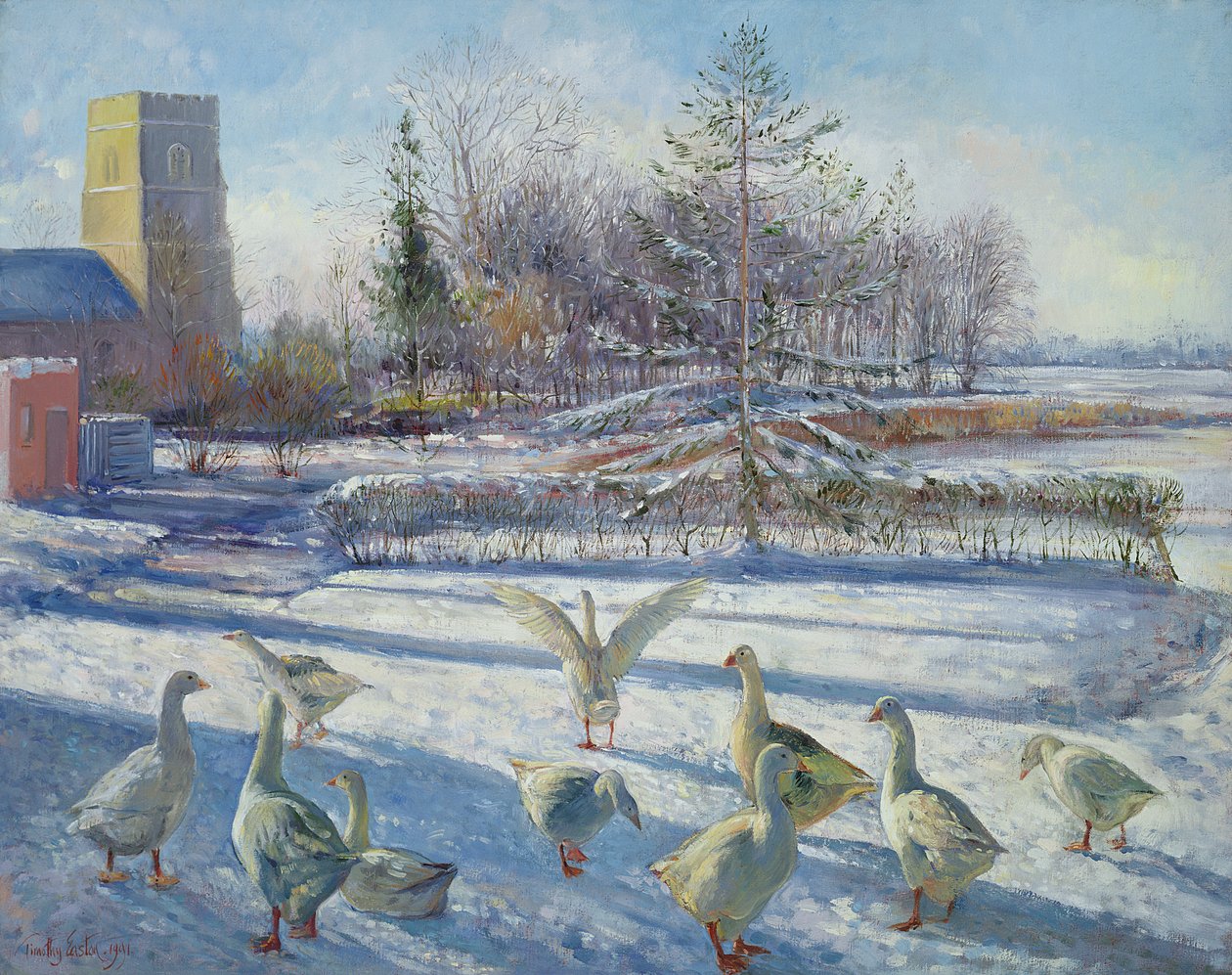 Snögäss, vintermorgon av Timothy Easton
