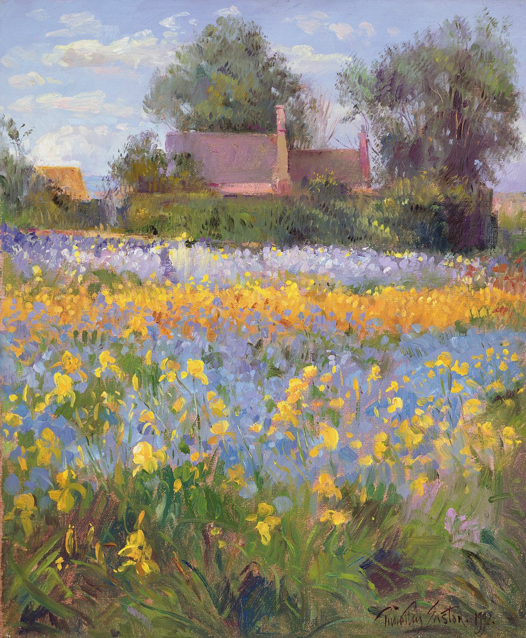 De slutna stugorna på Irisfältet av Timothy Easton
