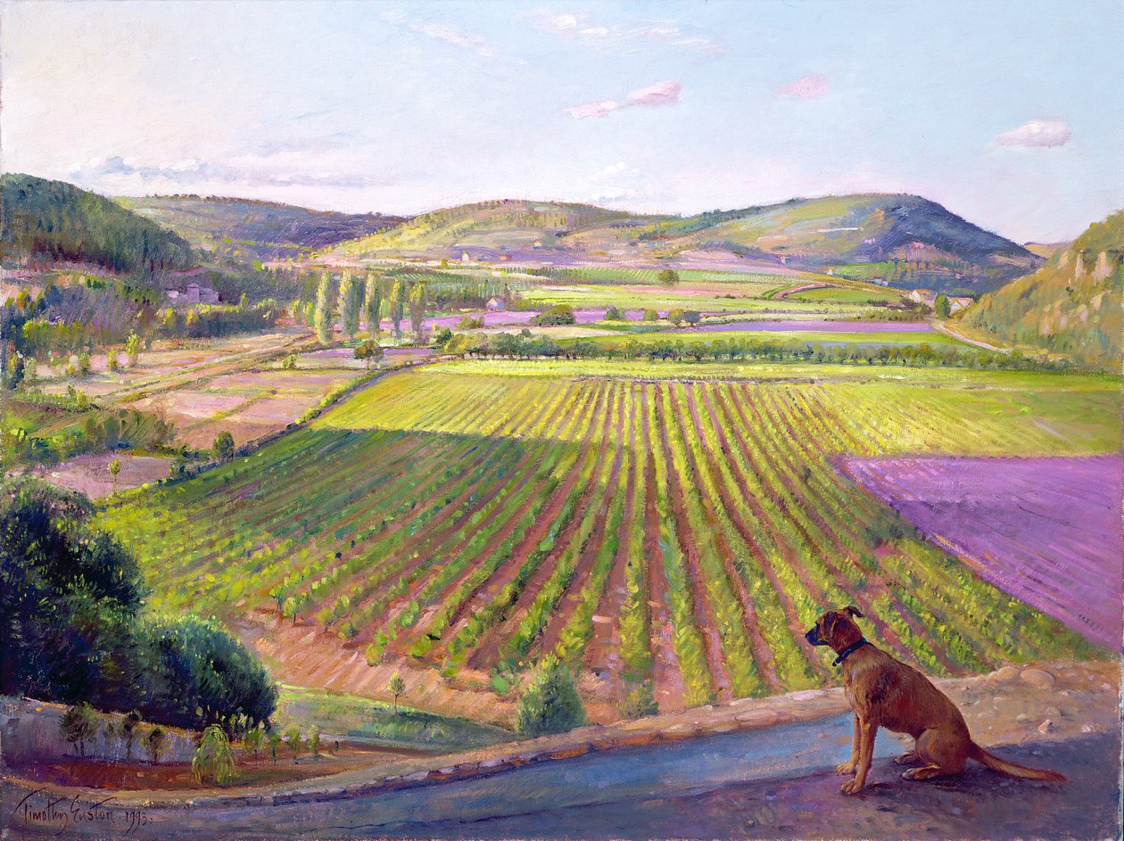 Ser från murarna, Gamla Provence, 1993 av Timothy Easton