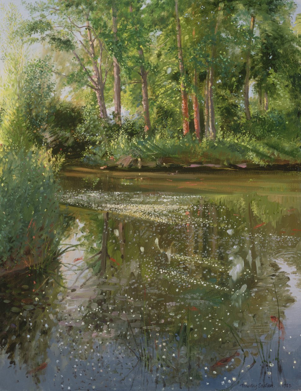Vattenblommor vid soluppgången av Timothy Easton