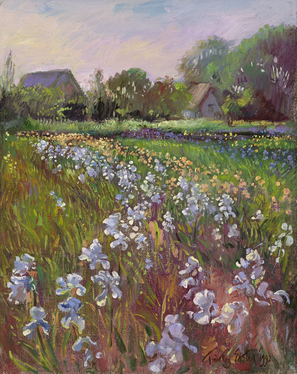 Vita irisar och bondgård av Timothy Easton
