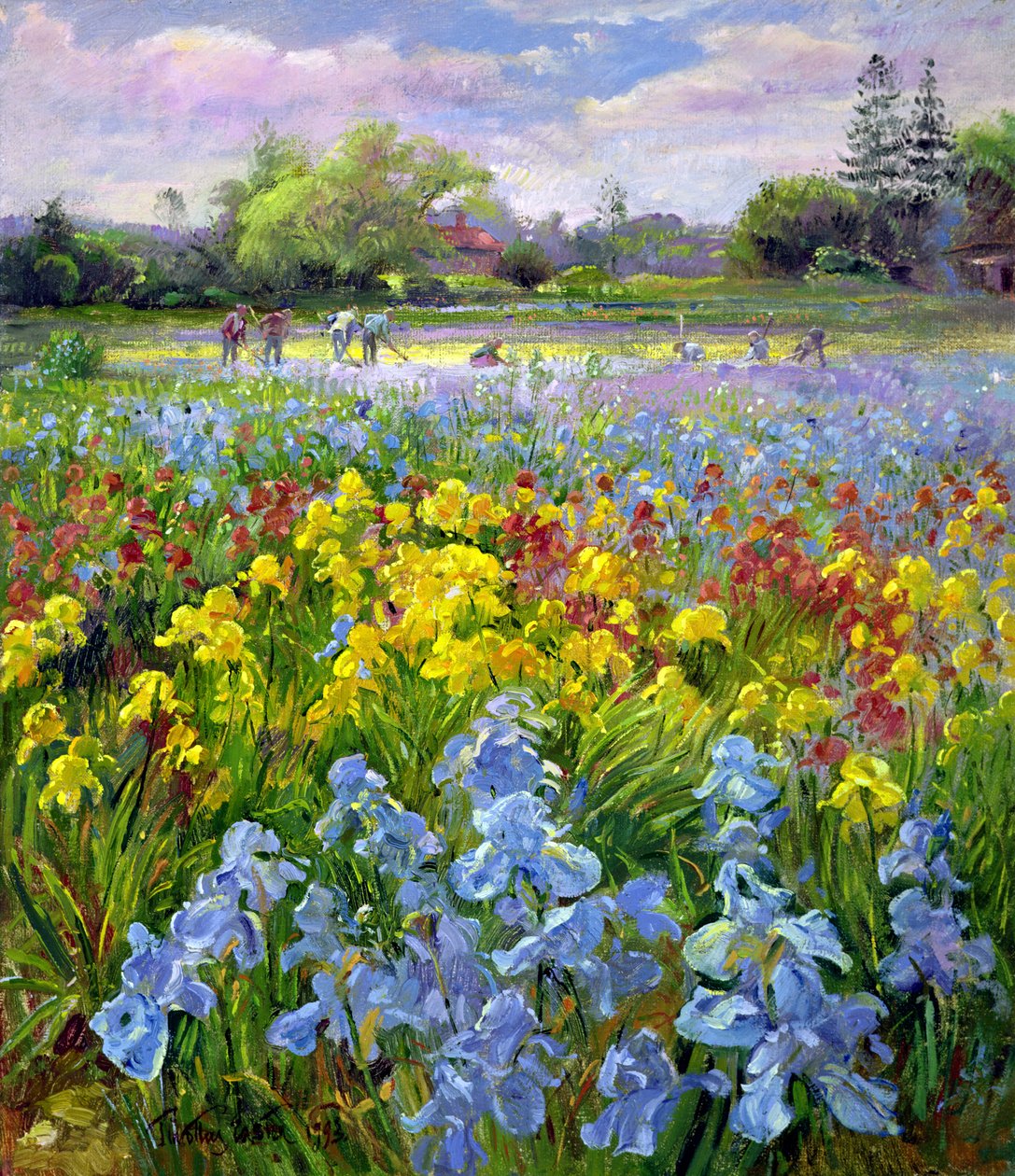Hoeing Team och Iris Fields av Timothy Easton