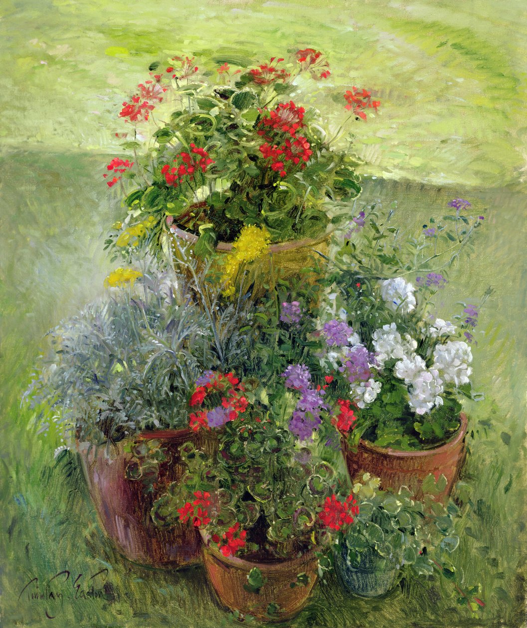 Shaded Pots (olja på duk) av Timothy Easton