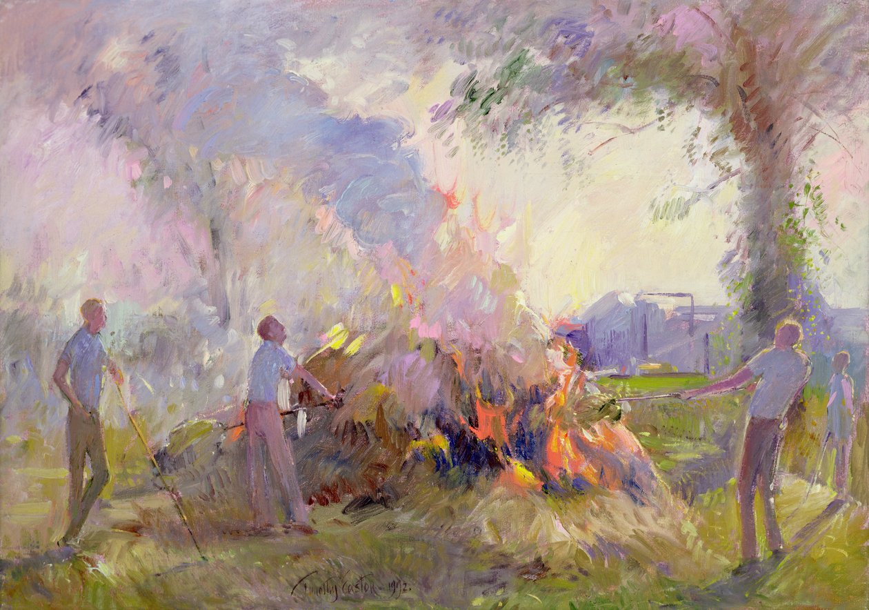 Sommaren klarnar upp av Timothy Easton