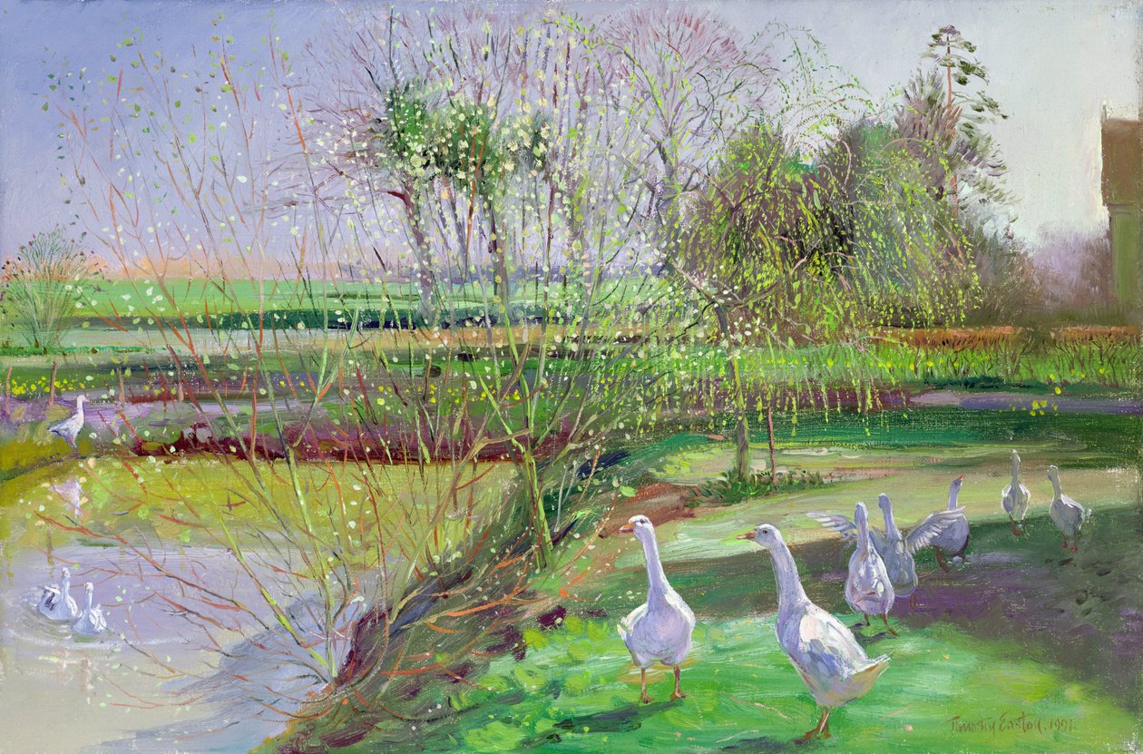 Pil och gäss av Timothy Easton