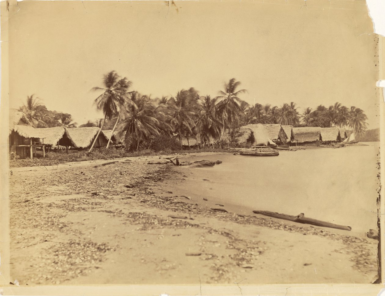 [Hytter, palmer och strand, Itshumus i Darién (Panama)] av Timothy H. O
