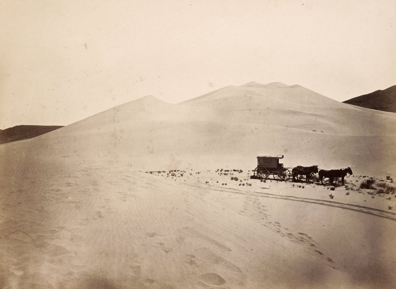 Sanddyner, Carsonöknen, Nevada av Timothy H. O