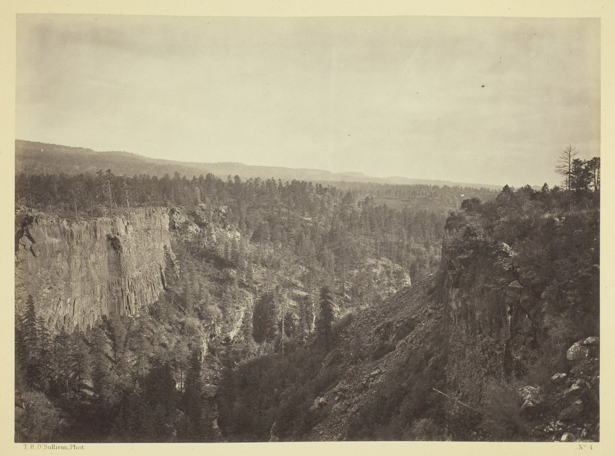 North Fork Cañon, Sierra Blanca Creek, Arizona av Timothy O
