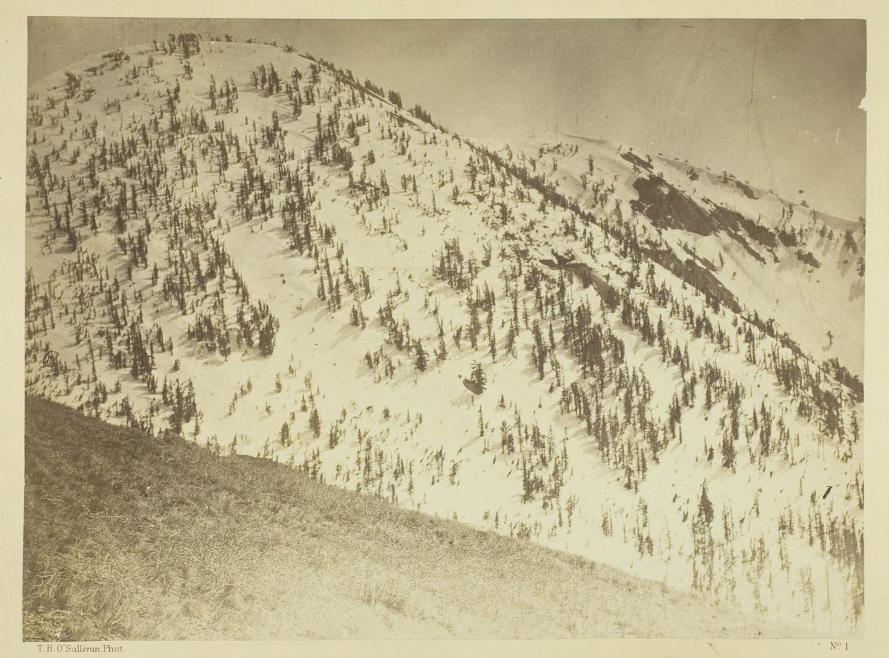 Snow Peaks, Bull Run gruvdistrikt, Nevada av Timothy O
