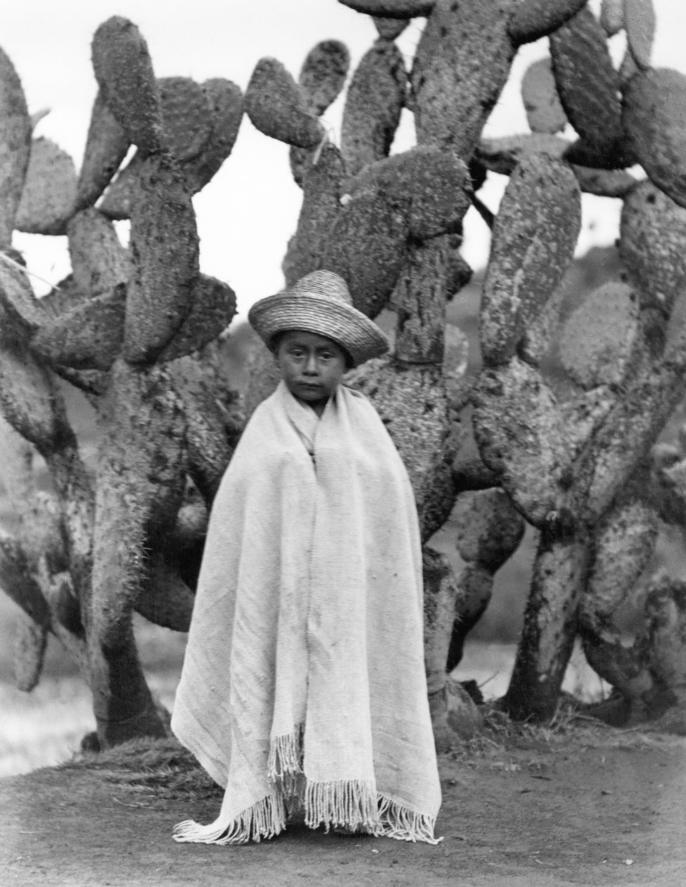 Pojke framför en kaktus, delstaten Veracruz, Mexiko, 1927 (bw-foto) av Tina Modotti