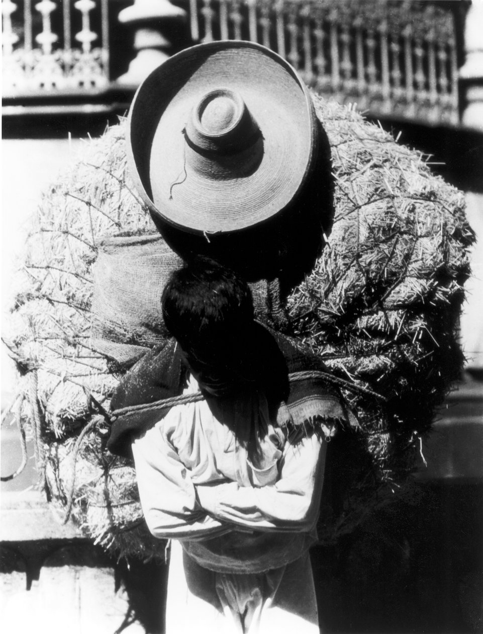 Campesino, delstaten Veracruz, Mexiko, 1927 av Tina Modotti