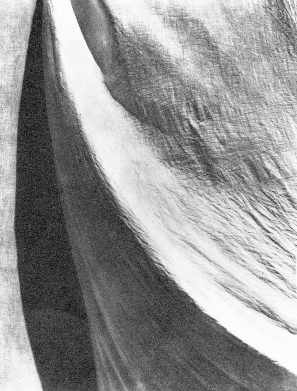 Linne, Mexiko, 1924 av Tina Modotti