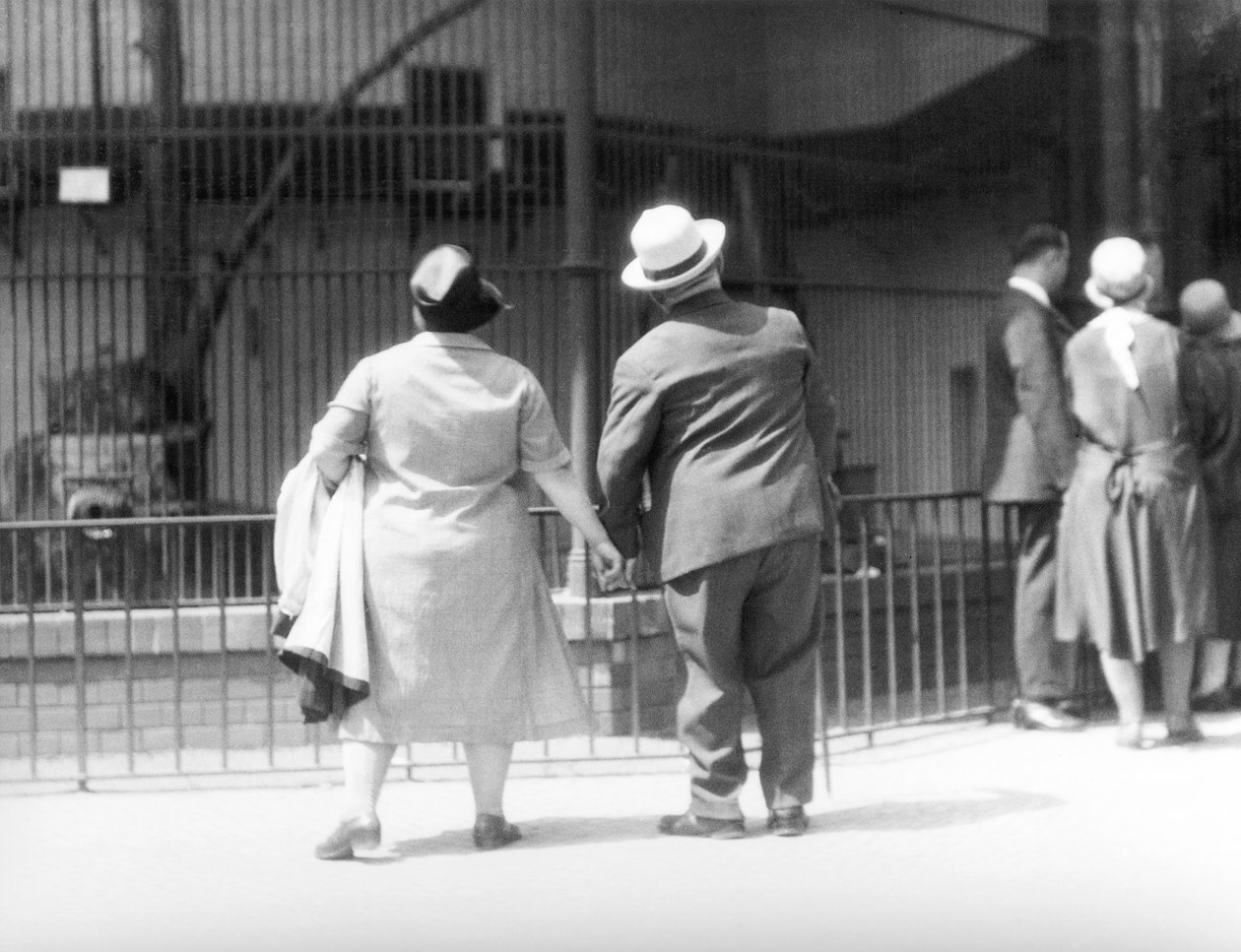 I Zoologiska trädgården, Berlin, Tyskland, 1930 av Tina Modotti