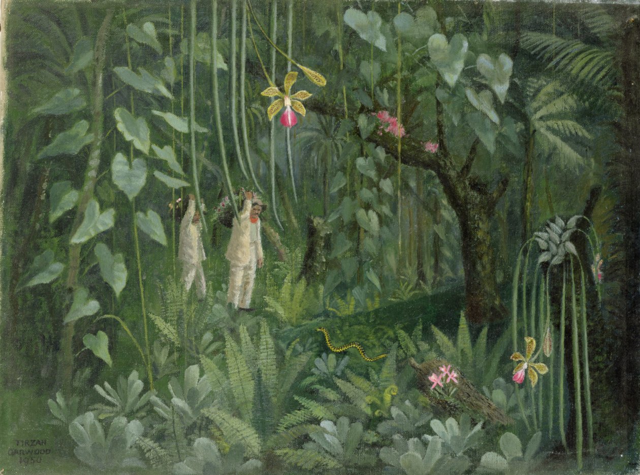 Orkidéjägare i Brasilien av Tirzah Ravilious
