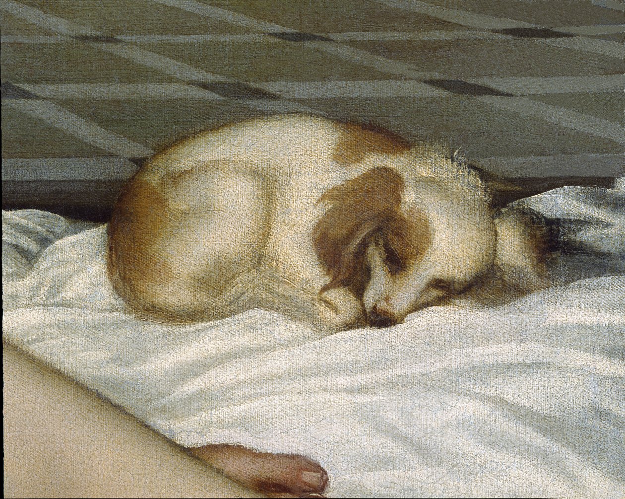 Venus från Urbino, före 1538 olja på duk detalj av 291644 av Tiziano Vecelli