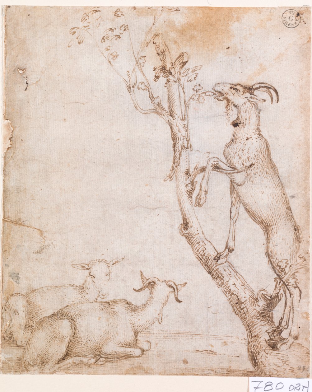 Getter på bete (penna och bläck på papper) av Titian (c.1488 1576)