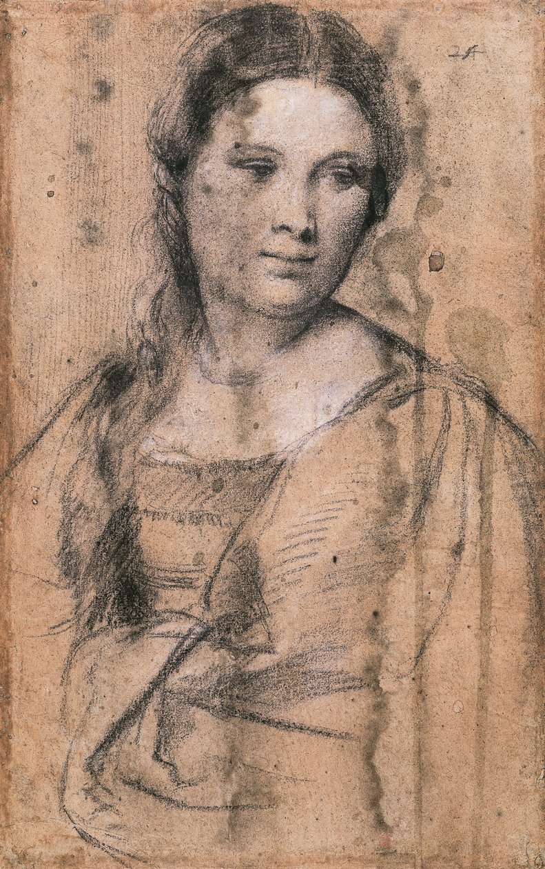 Porträtt av ung flicka av Titian (ca 1490-1576), teckning av Titian (c.1488 1576)