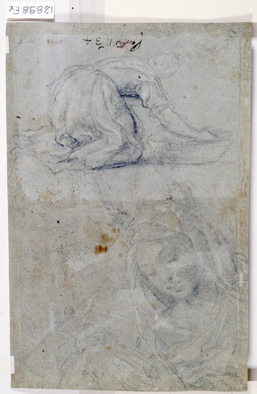 Studier av jungfrun (kol på papper) av Titian (c.1488 1576)