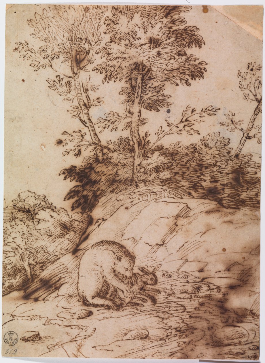 En björn äter en kanin (penna  tusch på papper) av Titian (c.1488 1576)
