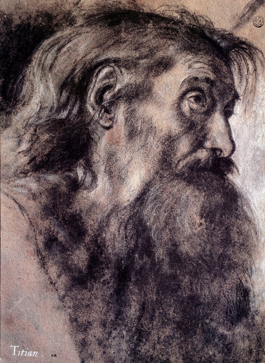 Gammal mans huvud Teckning av Tiziano Vecellio kallad Titian (1485-1576) 1500-talets Paris, Louvren av Titian (c.1488 1576)