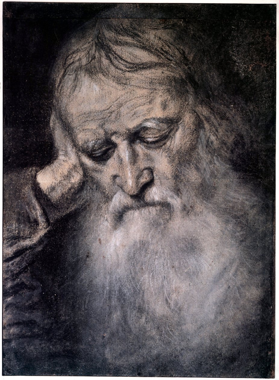 Gammal mans huvud Teckning av Tiziano Vecellio kallad Titian (1485-1576) 1500-talets Paris, Louvren av Tiziano Vecelli
