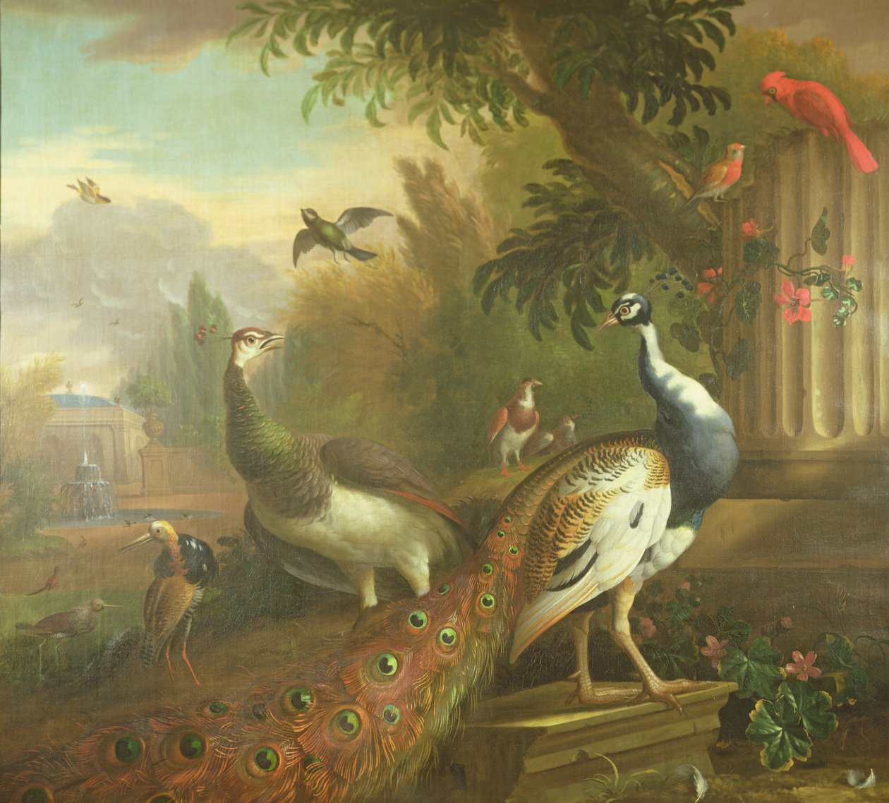 Påfågel och påfågel med en röd kardinal i ett klassiskt landskap av Tobias Stranover