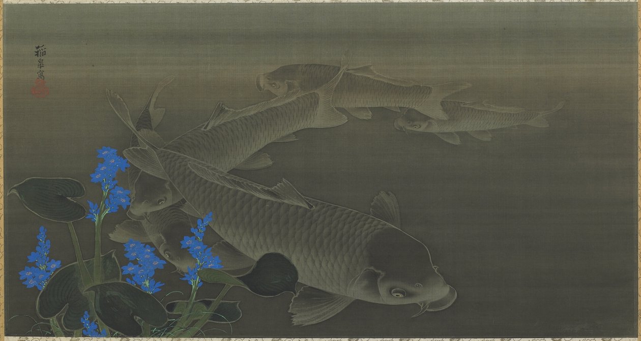 Karp, Edo-period, 1787-1846 (bläck och färg på siden) av Toko Kuroda