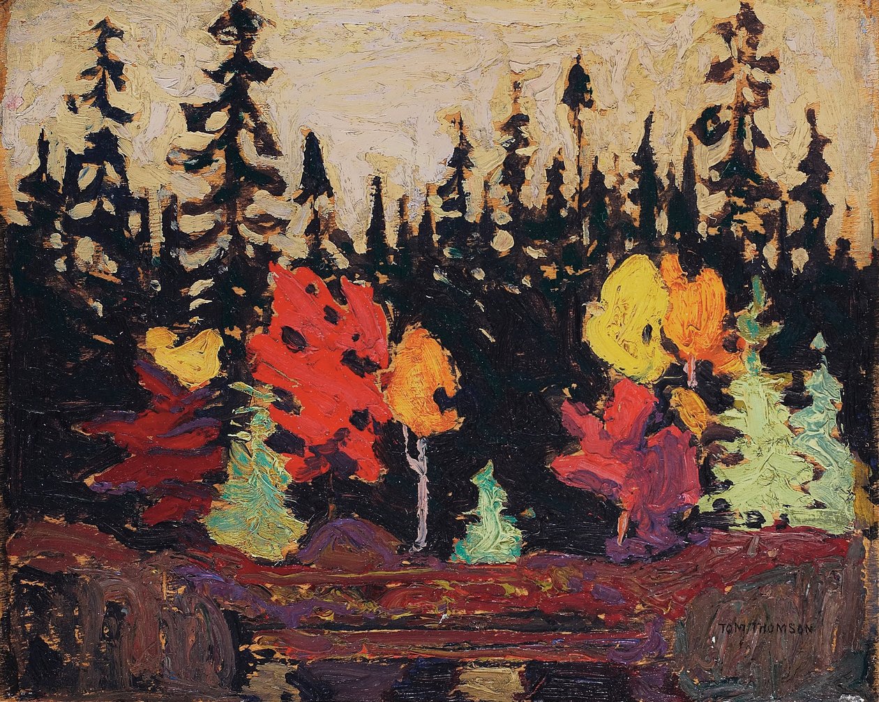 Black Spruce and Maple av Tom Thomson