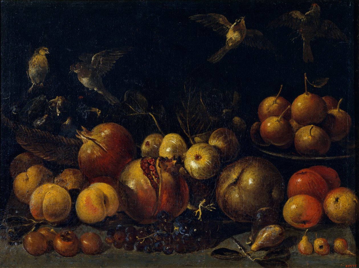 Still Life with Pomegranates, Apples, Pears, Grapes, Figs and Birds av Tommaso Realfonso