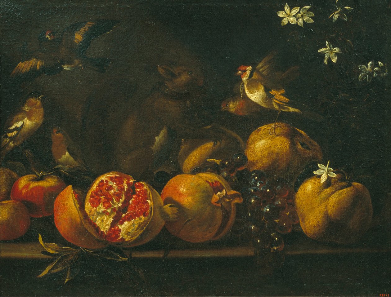 Still Life with Pomegranates, Grapes, Birds and a Squirrel av Tommaso Realfonso