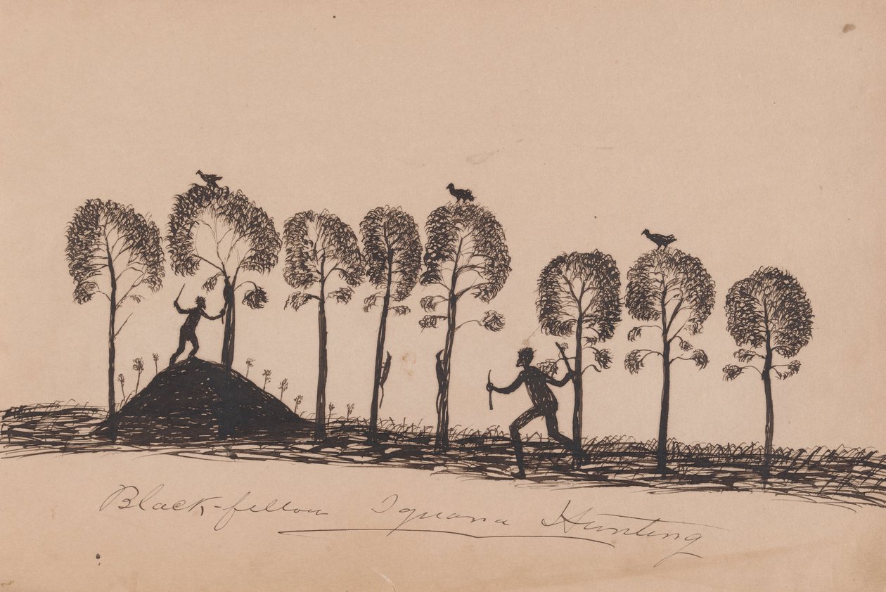 Kwatkwat people - Black fellow iguana hunting-Sketchbook of Aboriginal activities av Tommy McRae