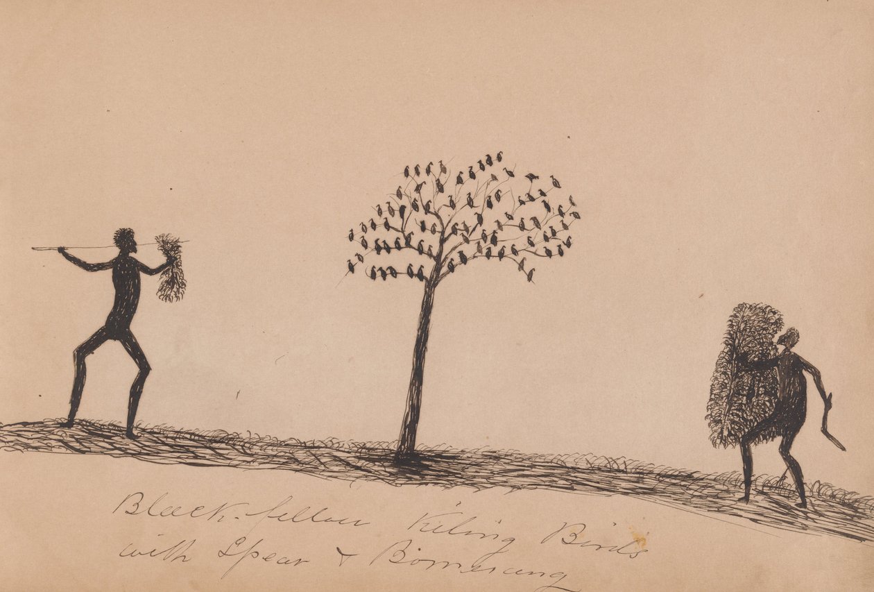 Kwatkwat people - Black fellow killing birds with spear and boomerang-Sketchbook of Aboriginal activities av Tommy McRae