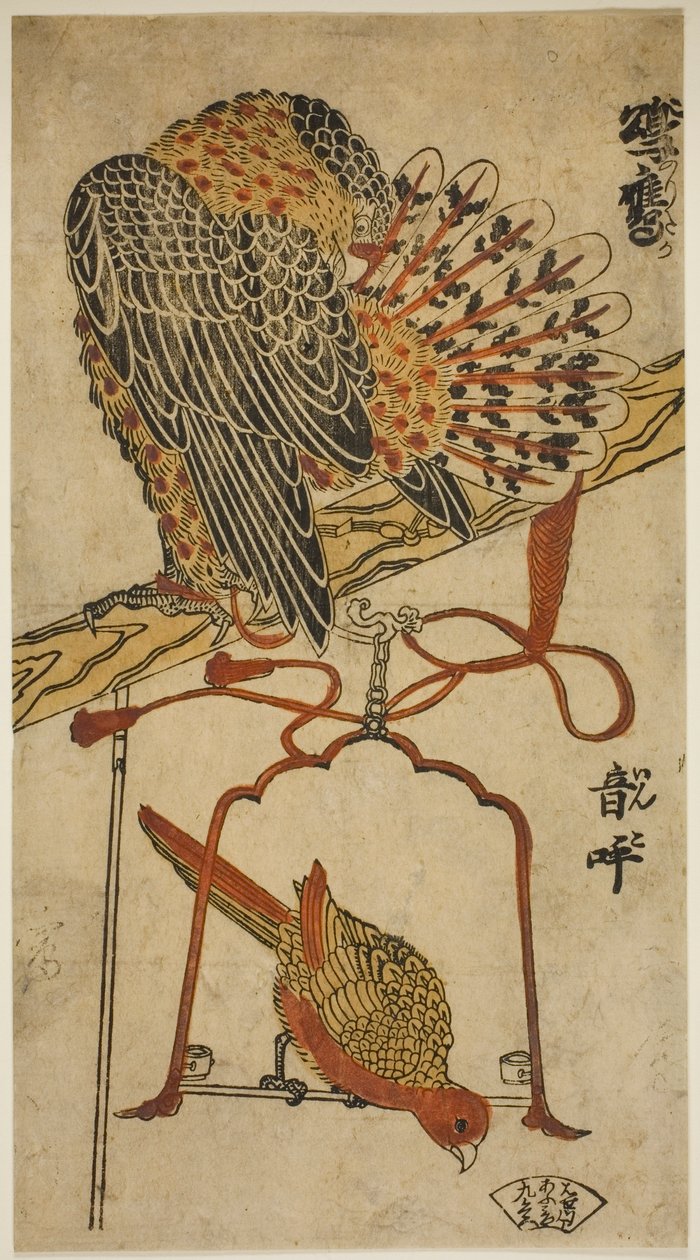Sparrowhawk and Macaw (Sparrowhawk and Macaw) av Torii Kiyomasu I
