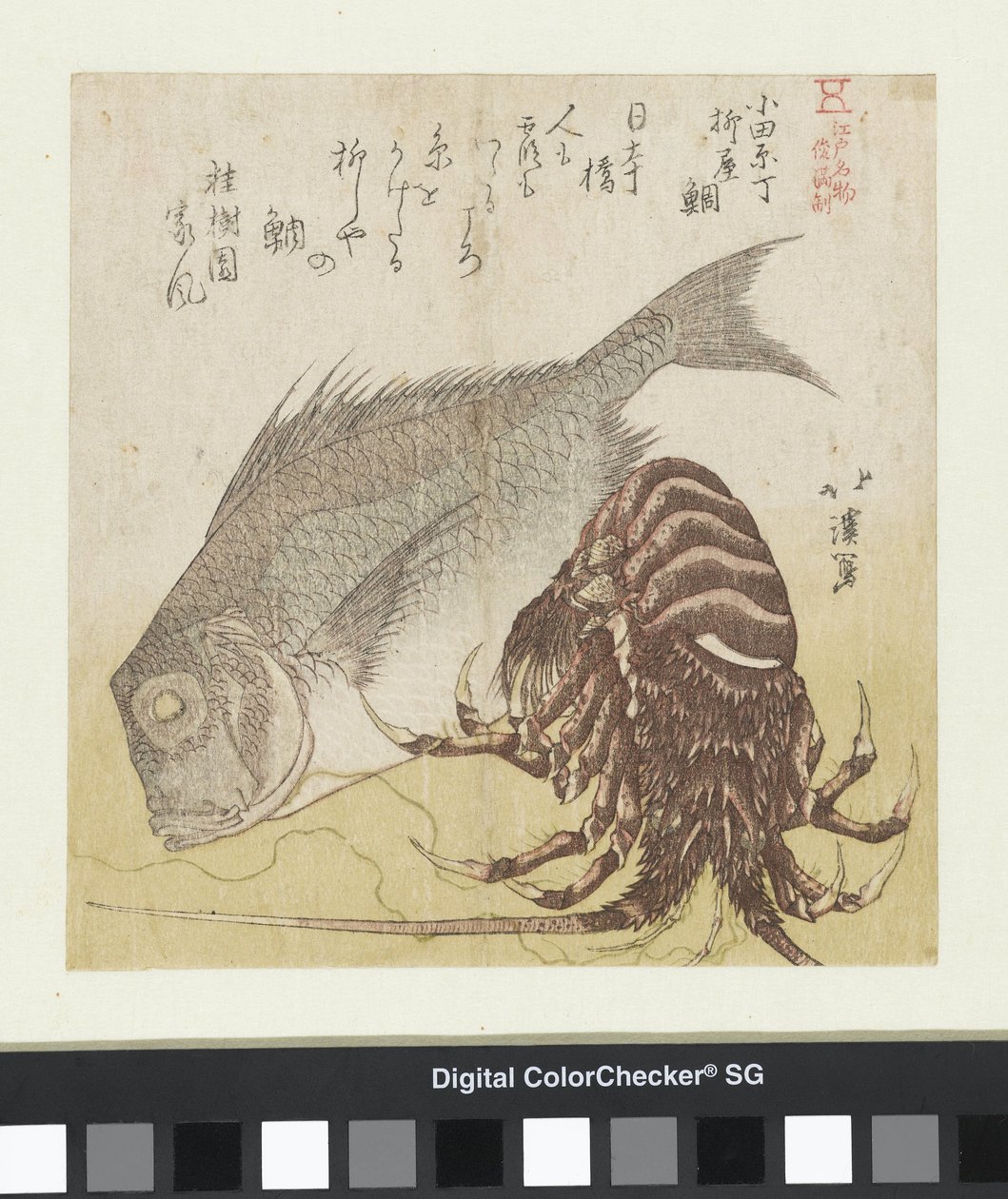 Havsabborren i Yanagiya i Odawara Chô Odawara Chô Yanagiya tai (titel på objekt) Kända produkter från Edo (serietitel) Edo meibutsu (serietitel på objekt) av Totoya Hokkei