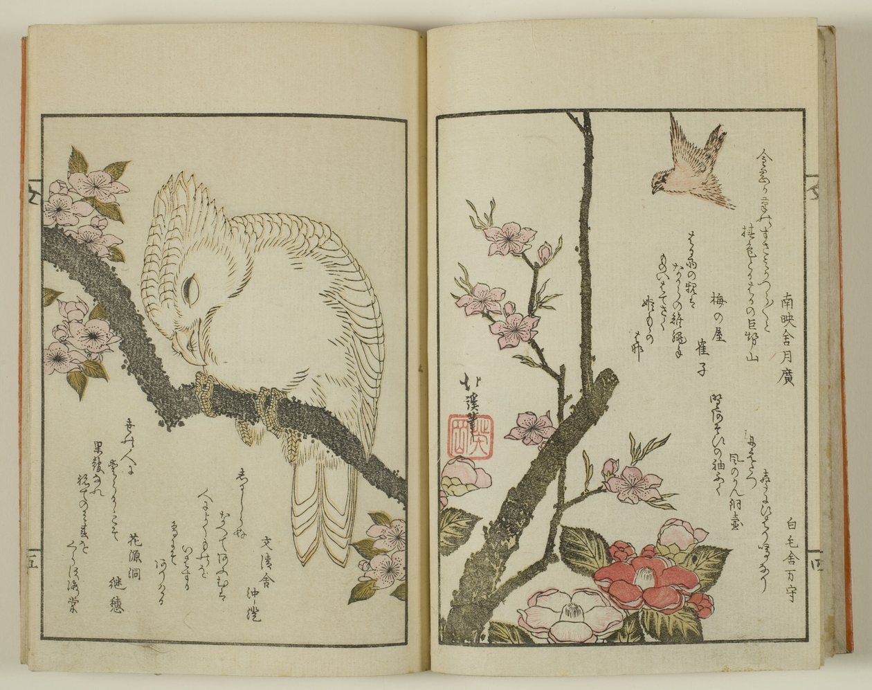 Kyoka hyakucho Kocho av Totoya Hokkei