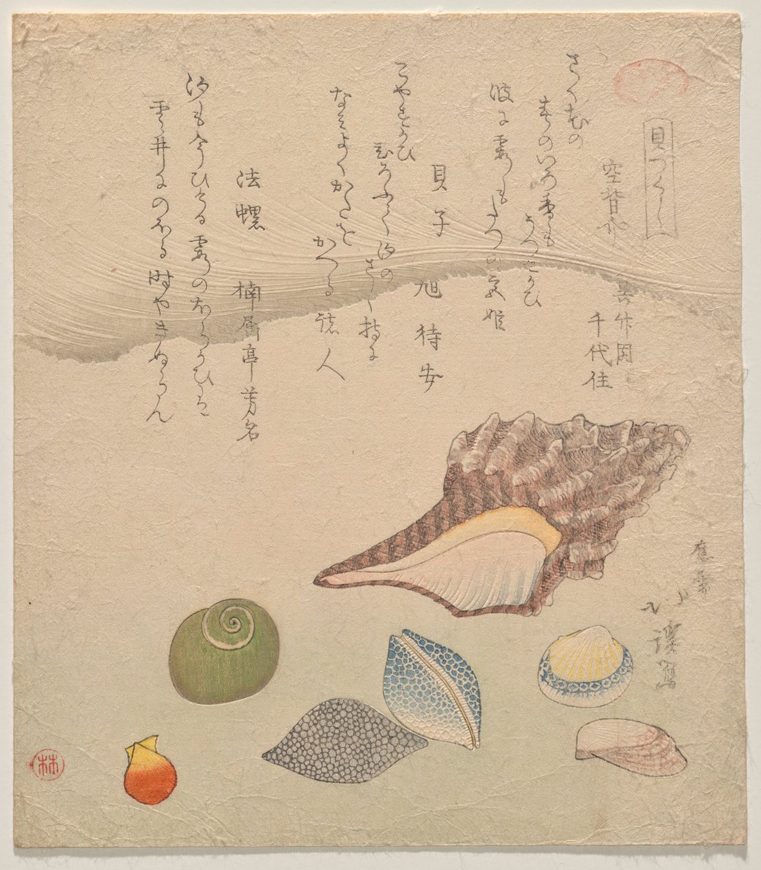 Seven Shells at the Edge of the Sea, från serien Shells Compendium (Kaizukushi) av Totoya Hokkei