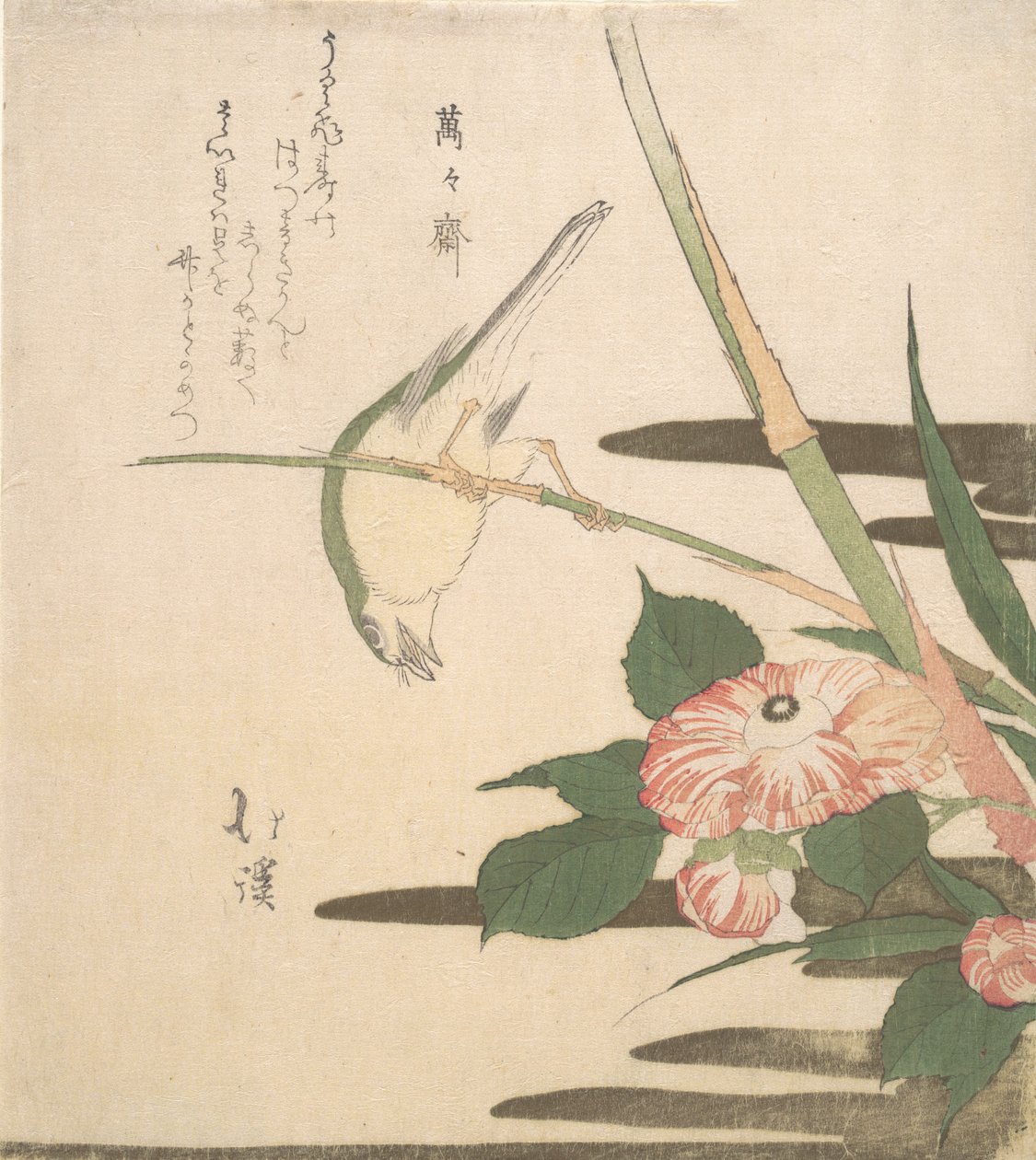 Sångare och kamelia, ca. 1815-20. av Totoya Hokkei