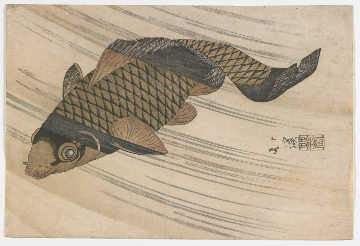 Carp Swimming Upstream, Edo-period, mitten av 1820-talet (trätryck i färg) av Toyota Hokkei