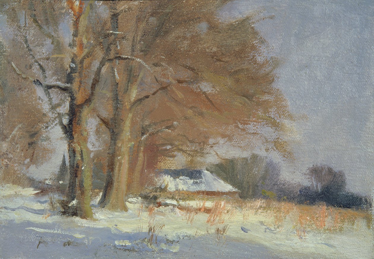 Limefrukter i snön av Trevor Chamberlain