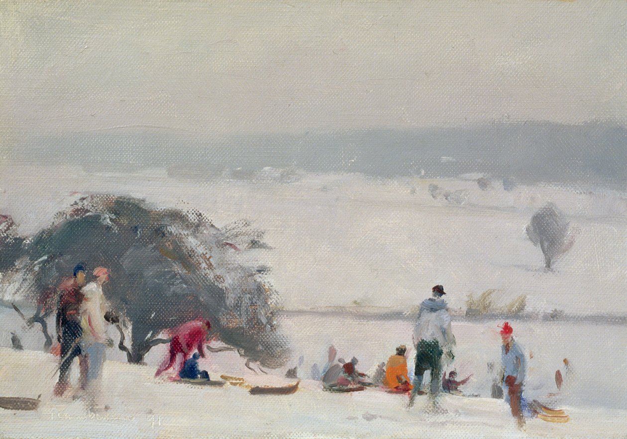 Kälkeåkning, The Meads, Hertford av Trevor Chamberlain