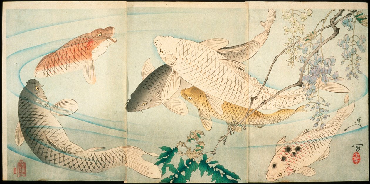 Karpe med blåregn av Tsukioka Yoshitoshi