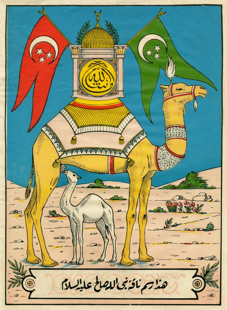 The Camel of Saleh, Sura 7, vers 71: (...) denna Guds kamel är för dig ett tecken (...). Populära bilder, Tunisien av Tunisian School