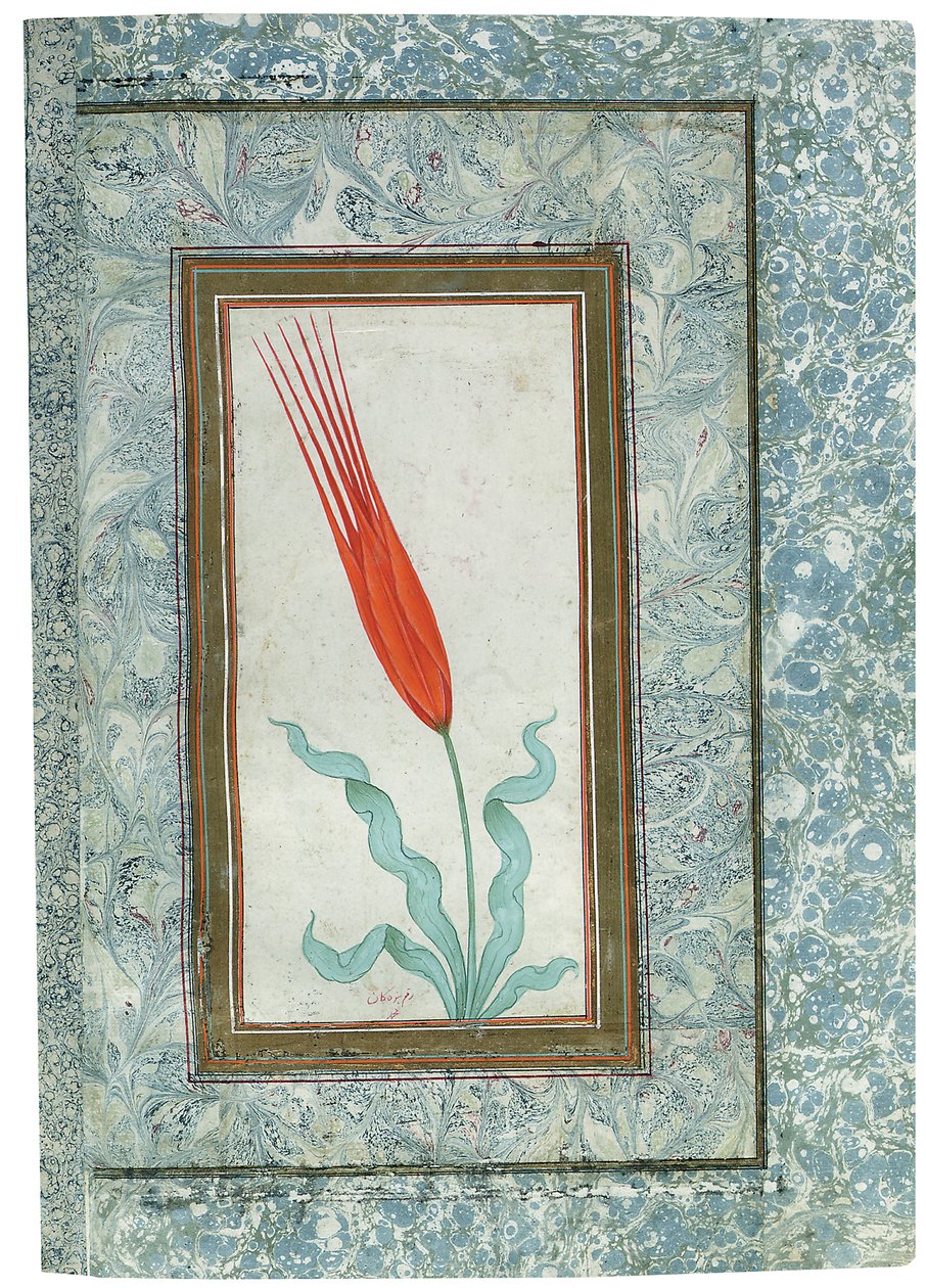 Sida från det turkiska tulpanalbumet, Istanbul, 1725 av Turkish School
