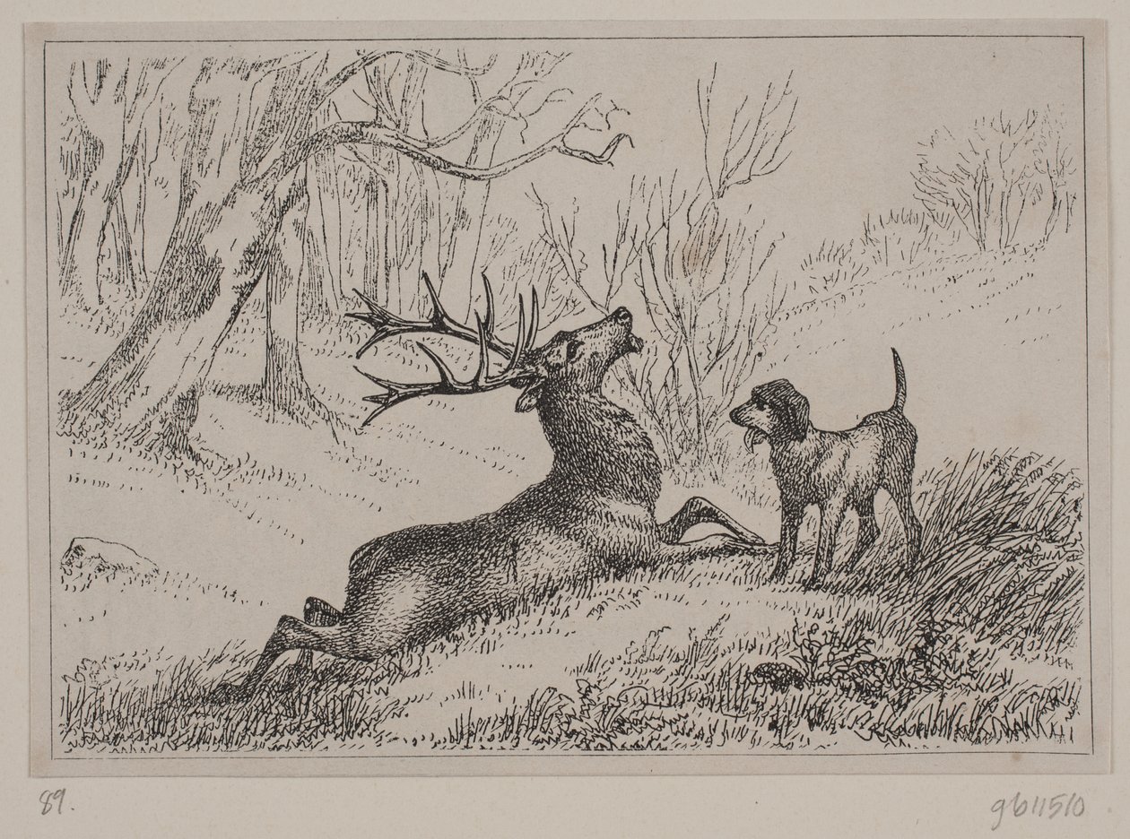 Illustration till dikten "Hjorten" av Gotfred Rode av Ubekendt