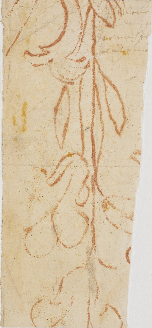 Planteornament (fragment) av Ubekendt KKSgb7383