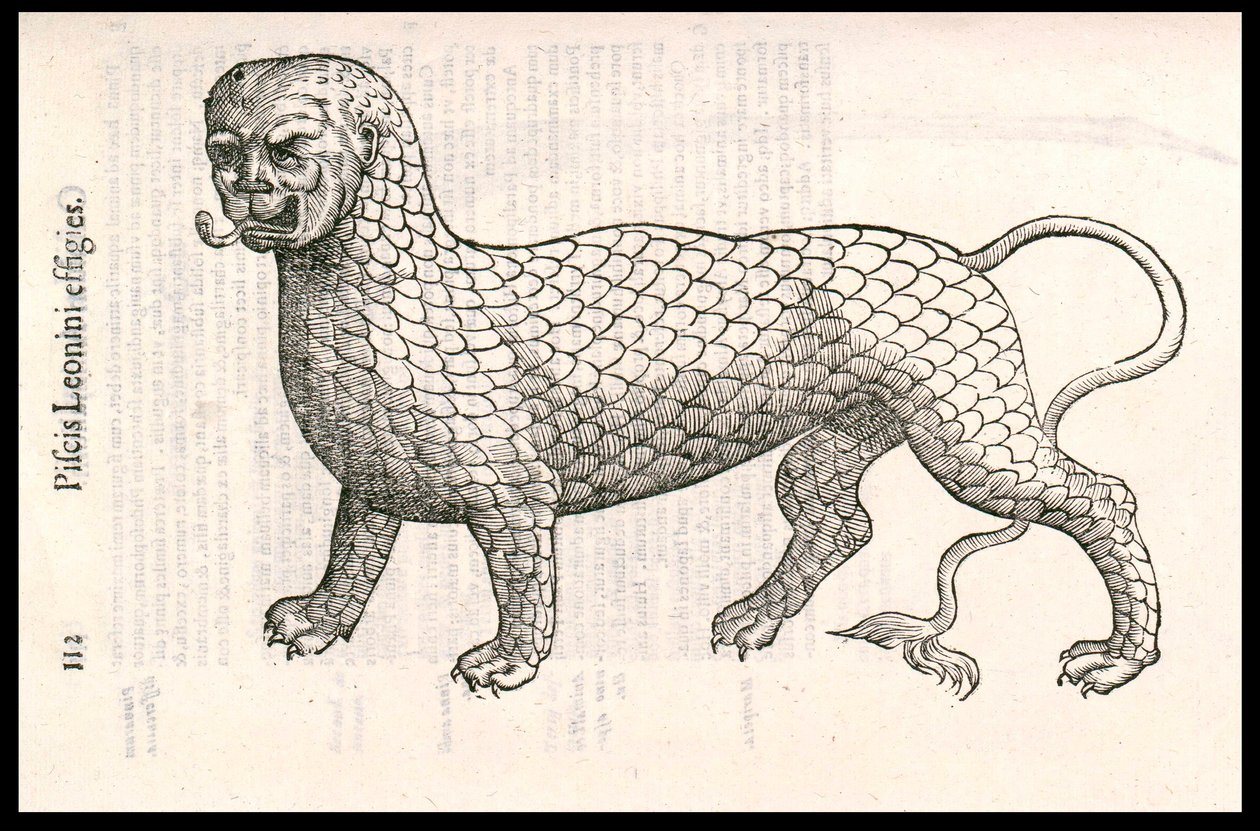 Monstervarelse: ett lejon täckt med fiskfjäll (eller lejonfisk). Gravyr av Ulisse Aldrovandi (1522-1605), "Monstrorum Historiae", Bologna 1642 av Ulisse Aldrovandi