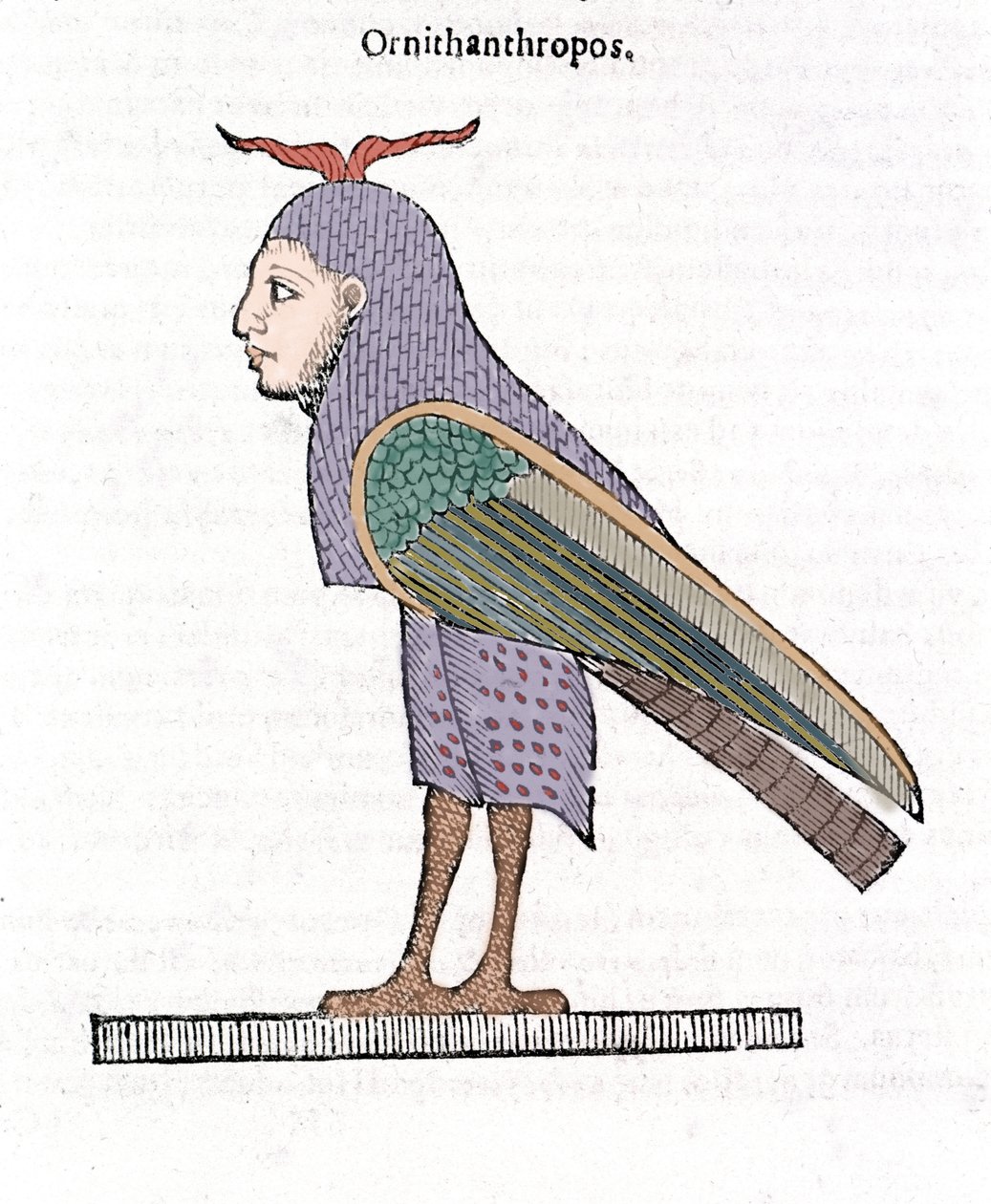 Ornithantropos. Fågel med mänskligt huvud. Ulisse Aldrovandi "Monstrens historia" Bologna 1642 av Ulisse Aldrovandi