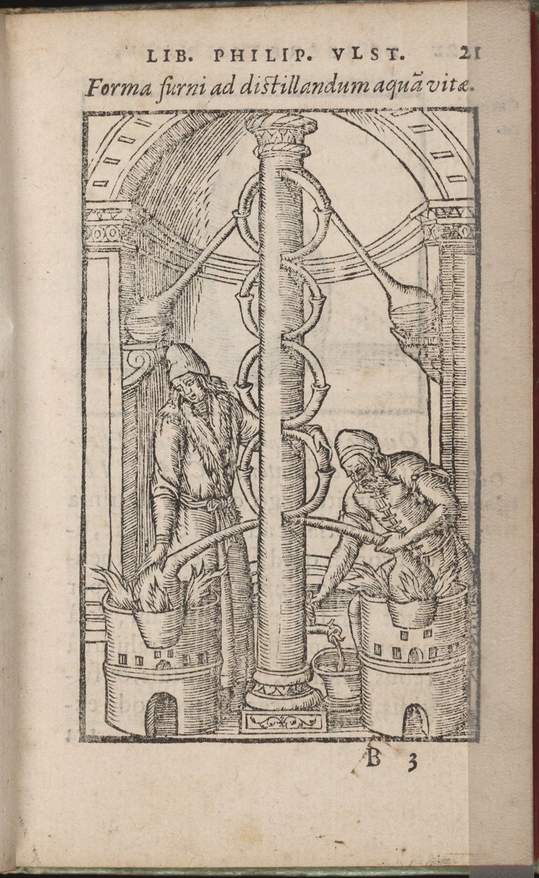 Alkemisk apparat från: The Book of the Secrets of Nature, 1556-1557 av Ulstadius