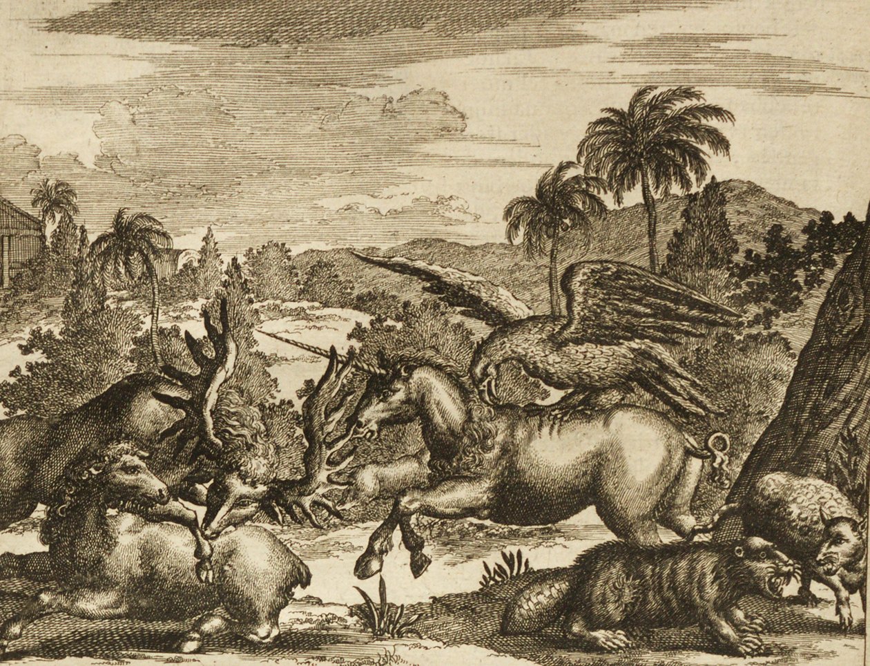 The New and Unknown Wereeld med enhörning av Unbekannt Unbekannt