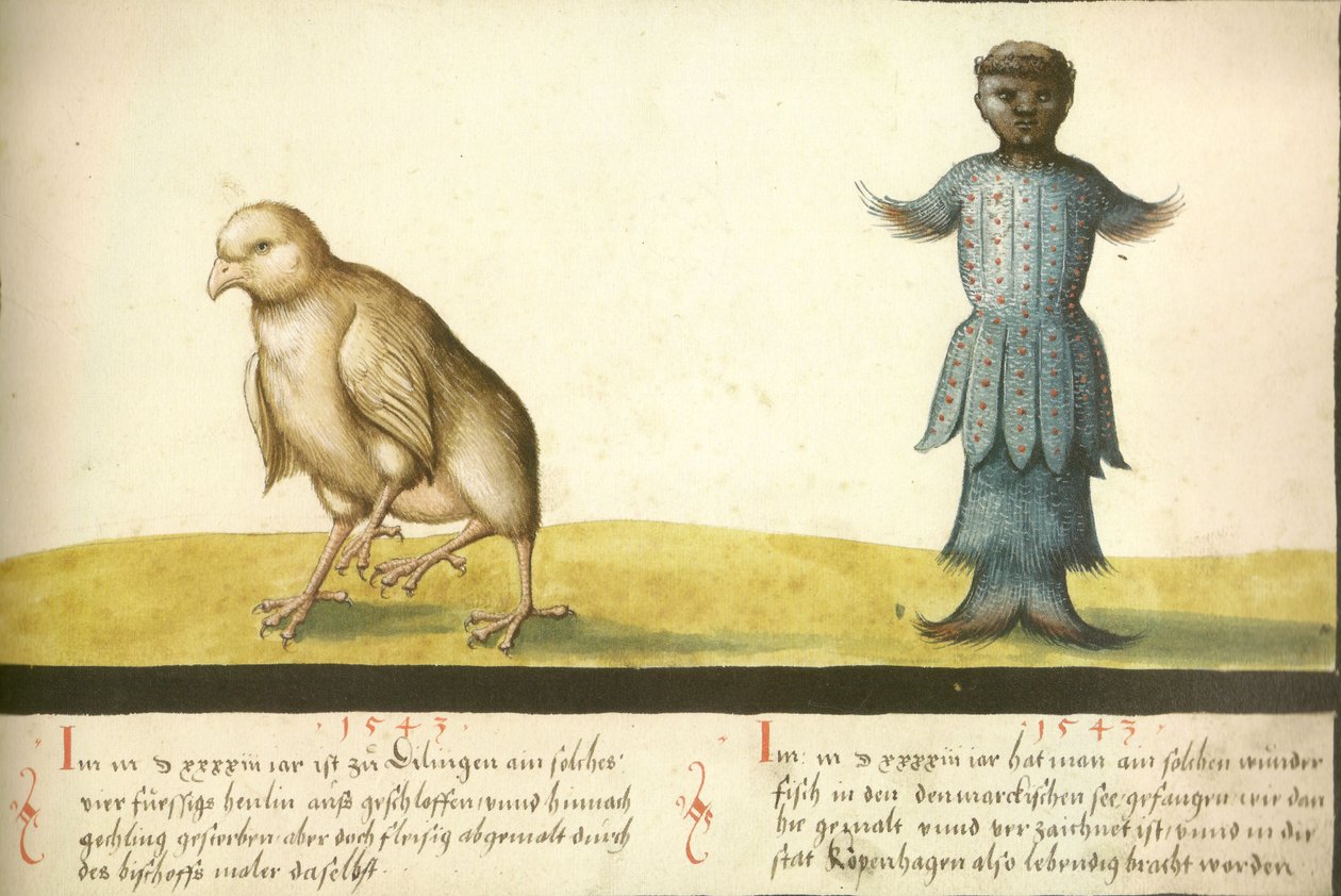Folio 145 - Underbar kyckling och underbar fisk 1543 av Unbekannt Unbekannt